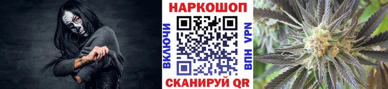 МЕФ Бийск