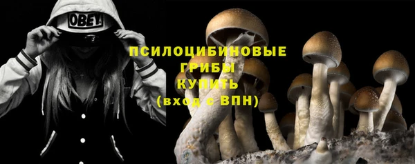 герыч Кулебаки