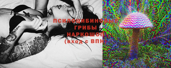 шишки Куйбышев