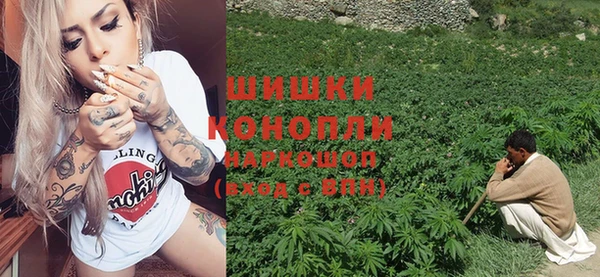 шишки Куйбышев