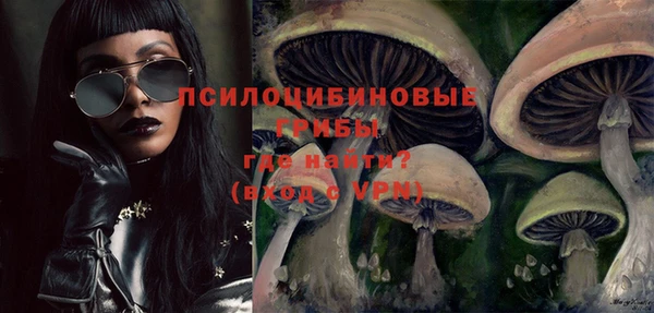 шишки Куйбышев