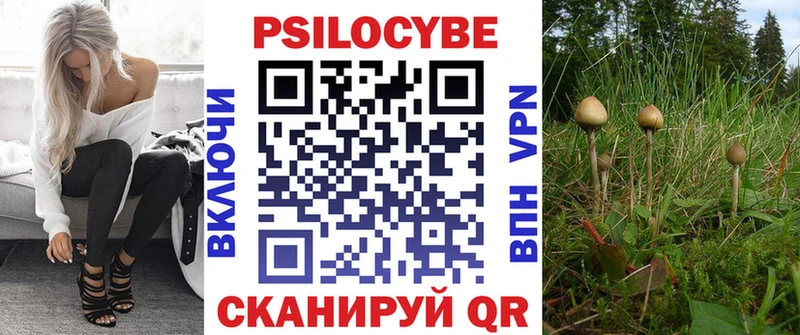дарнет шоп  Бийск  Псилоцибиновые грибы MAGIC MUSHROOMS 