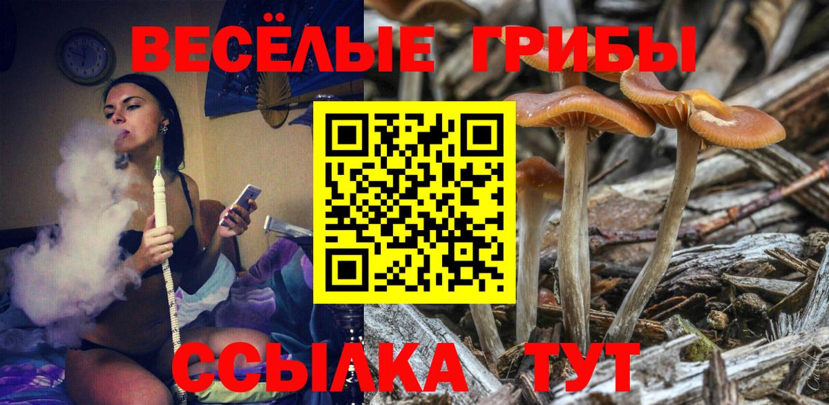 Галлюциногенные грибы GOLDEN TEACHER Бийск