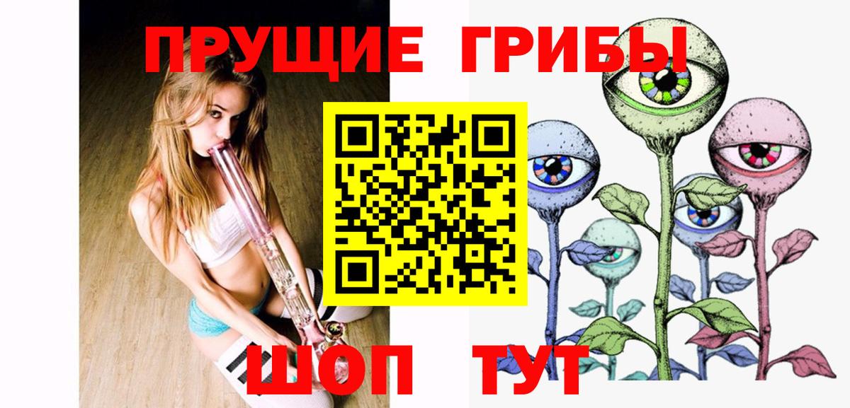 Псилоцибиновые грибы GOLDEN TEACHER  Бийск 