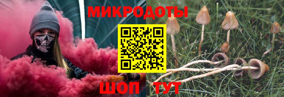 Бийск  Галлюциногенные грибы GOLDEN TEACHER  сколько стоит  Вход с VPN 